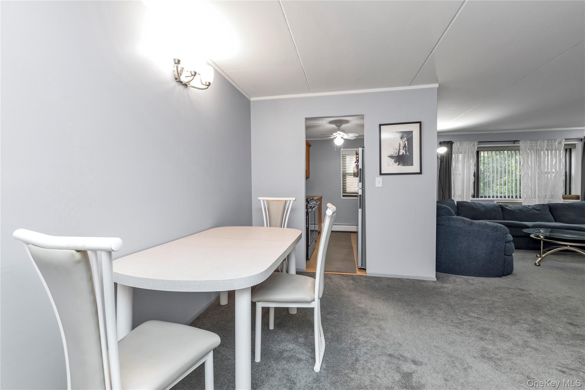 100 Clinton # 2N, Mineola, NY 11501