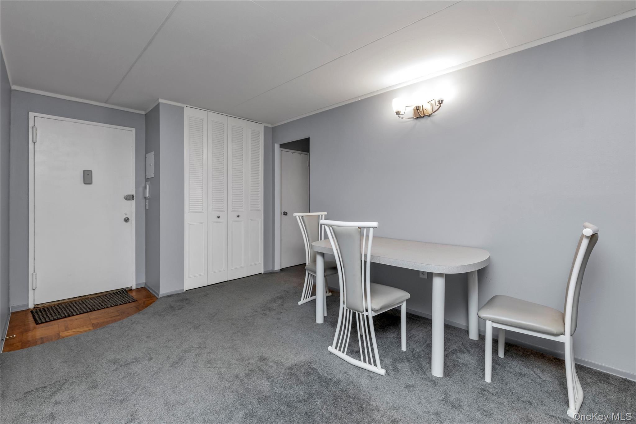 100 Clinton # 2N, Mineola, NY 11501