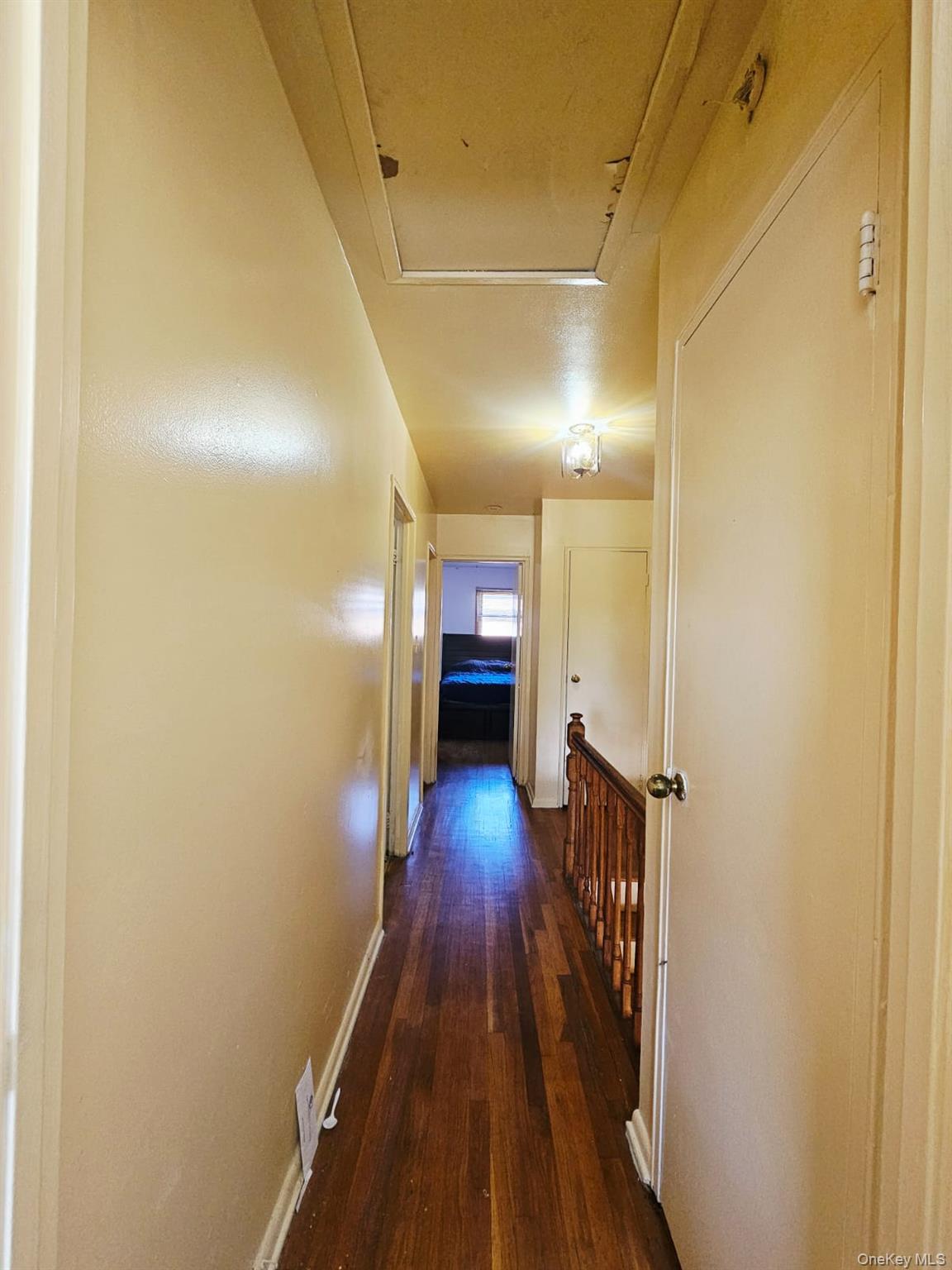 9203 Schenck Street, Brooklyn, NY 11236