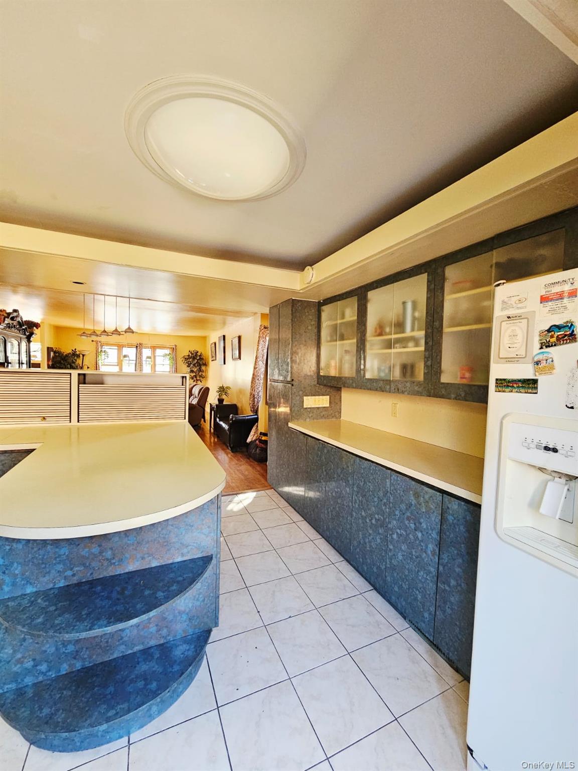 9203 Schenck Street, Brooklyn, NY 11236