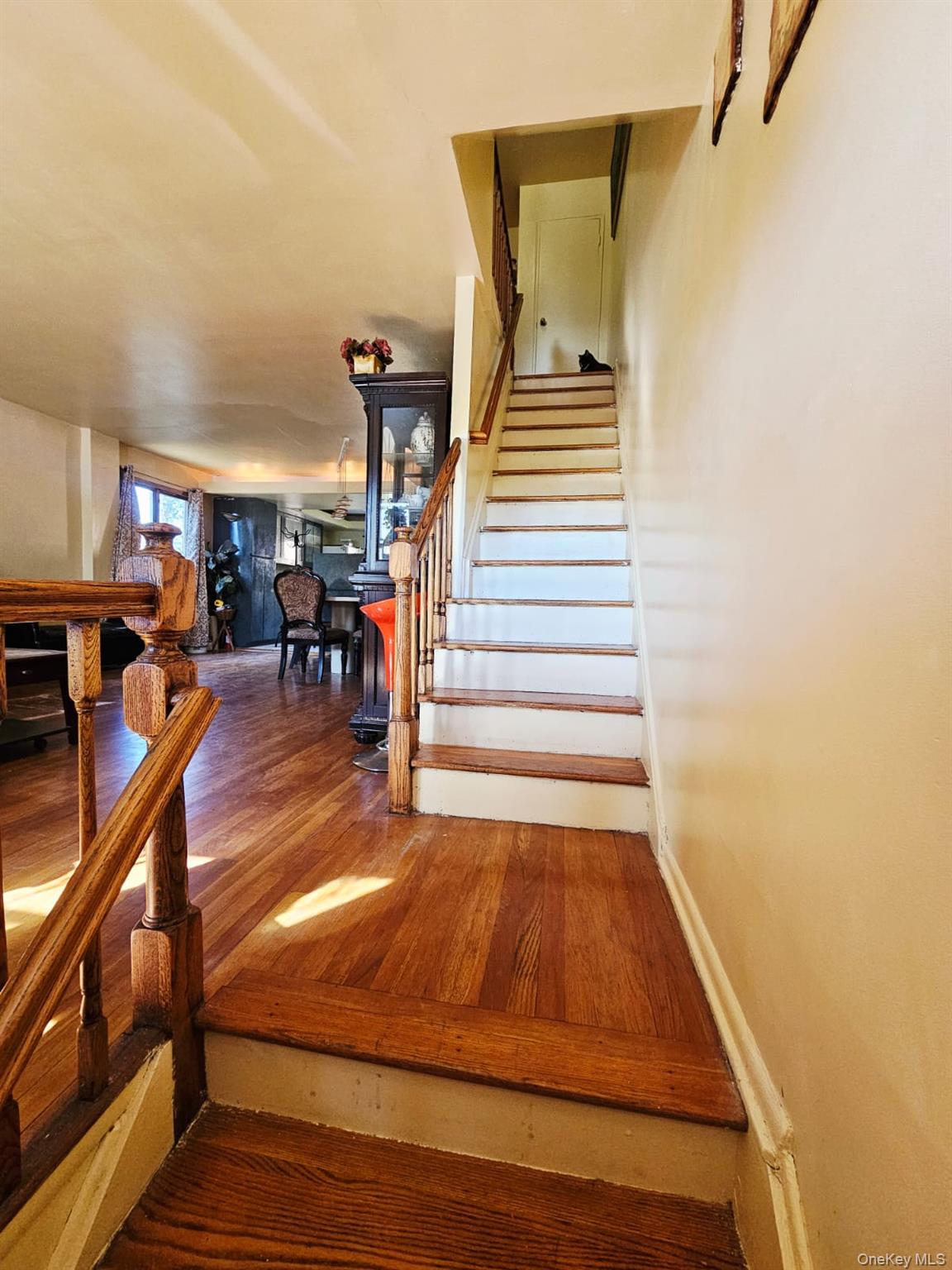 9203 Schenck Street, Brooklyn, NY 11236