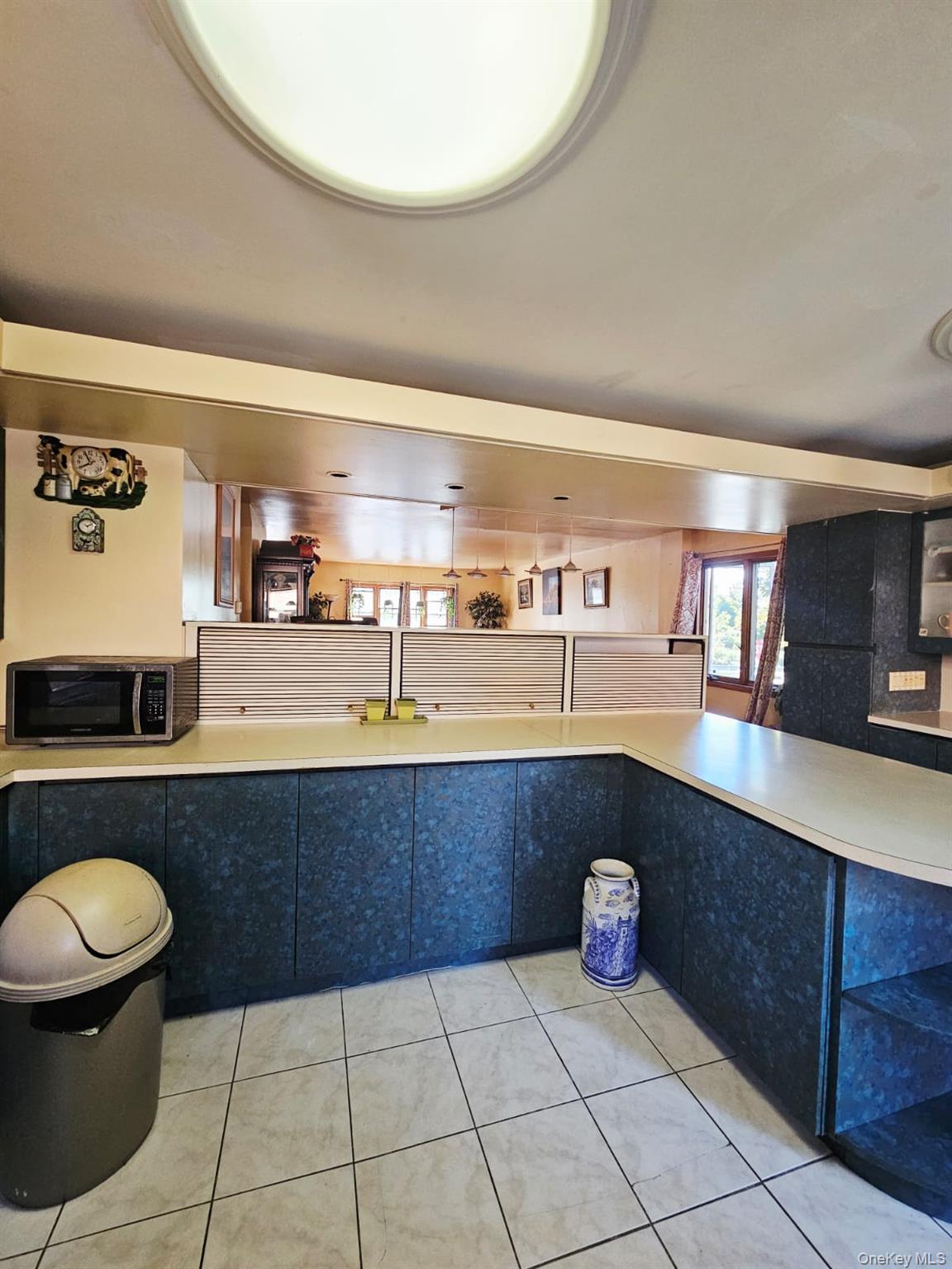 9203 Schenck Street, Brooklyn, NY 11236