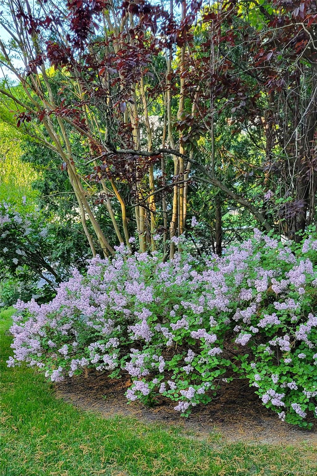 8 Margaret Avenue, Nesconset, NY 11767