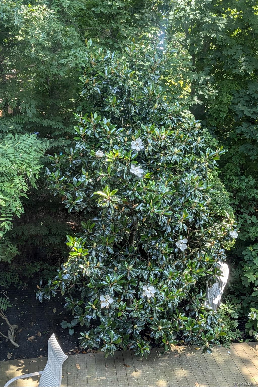 8 Margaret Avenue, Nesconset, NY 11767