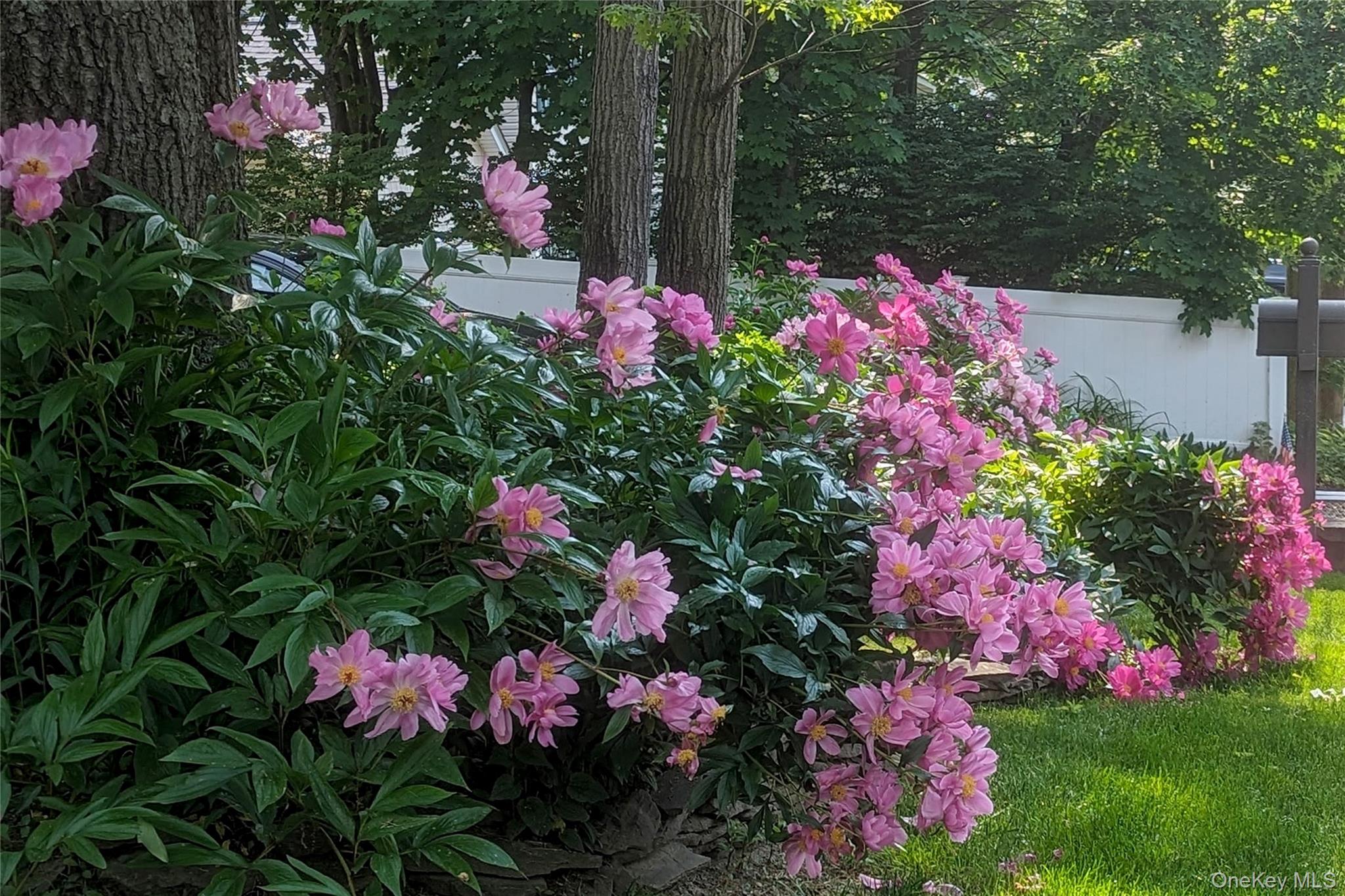 8 Margaret Avenue, Nesconset, NY 11767