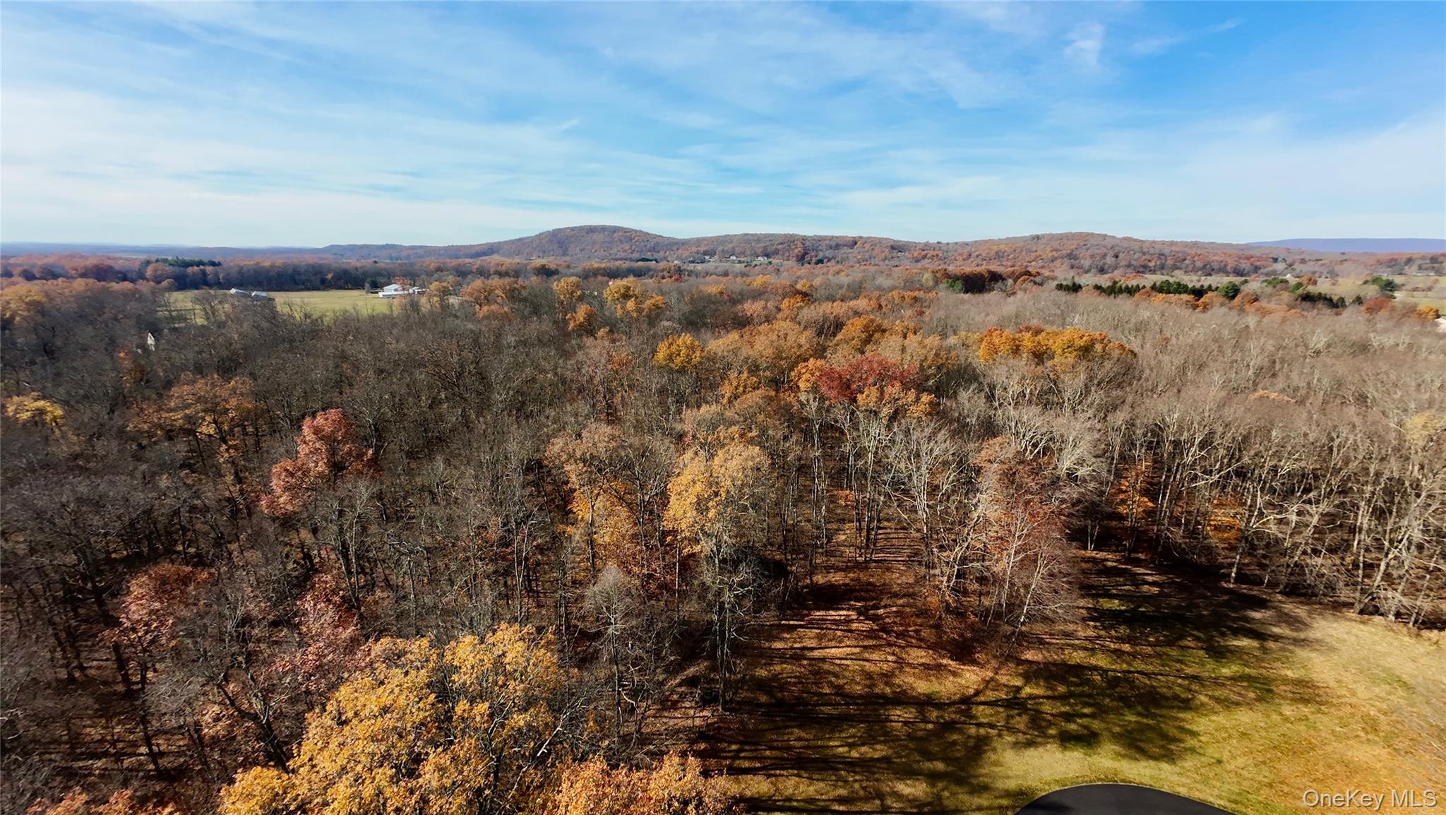 109 White Birch Lane, Montgomery, NY 12549