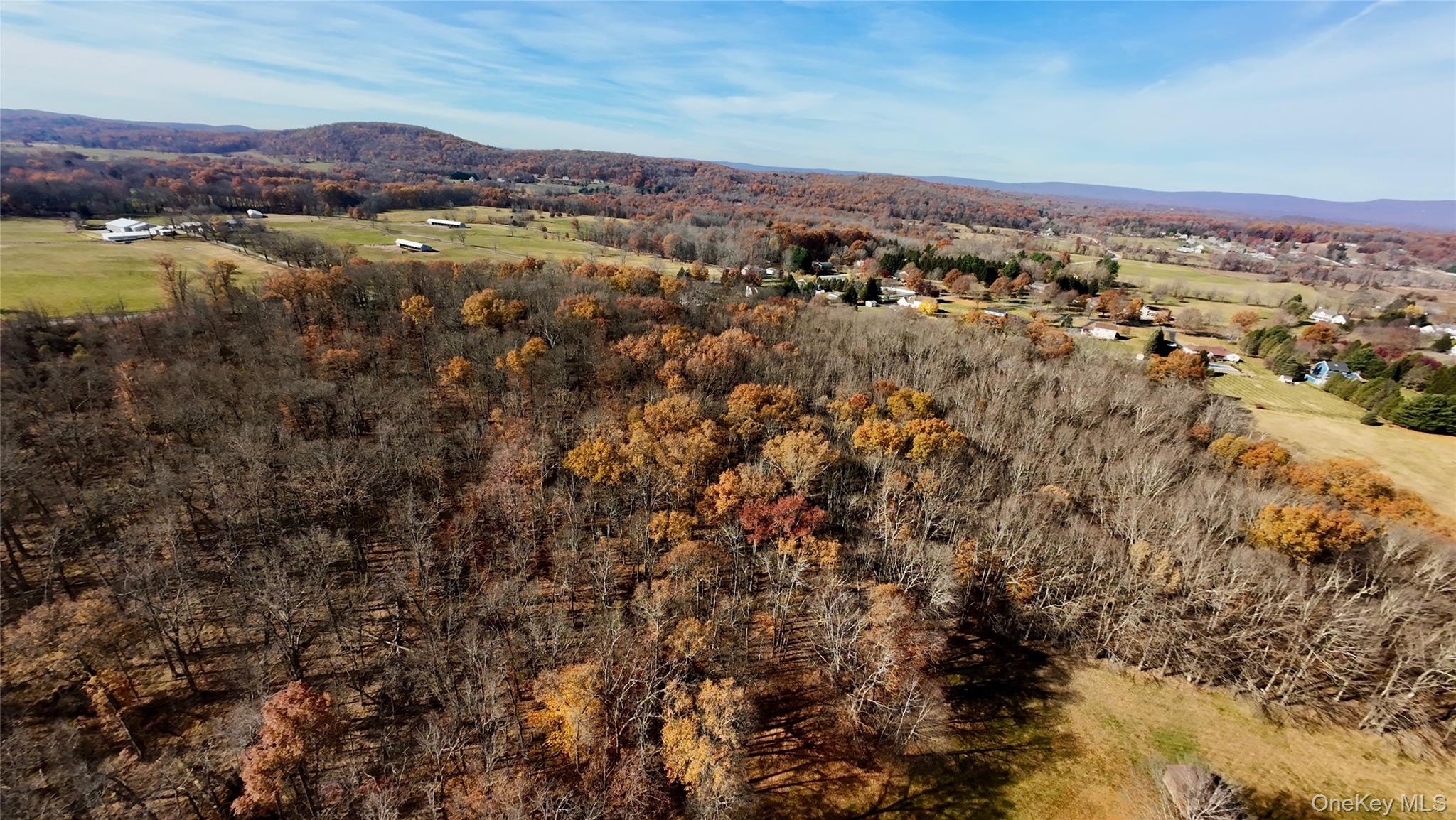 109 White Birch Lane, Montgomery, NY 12549