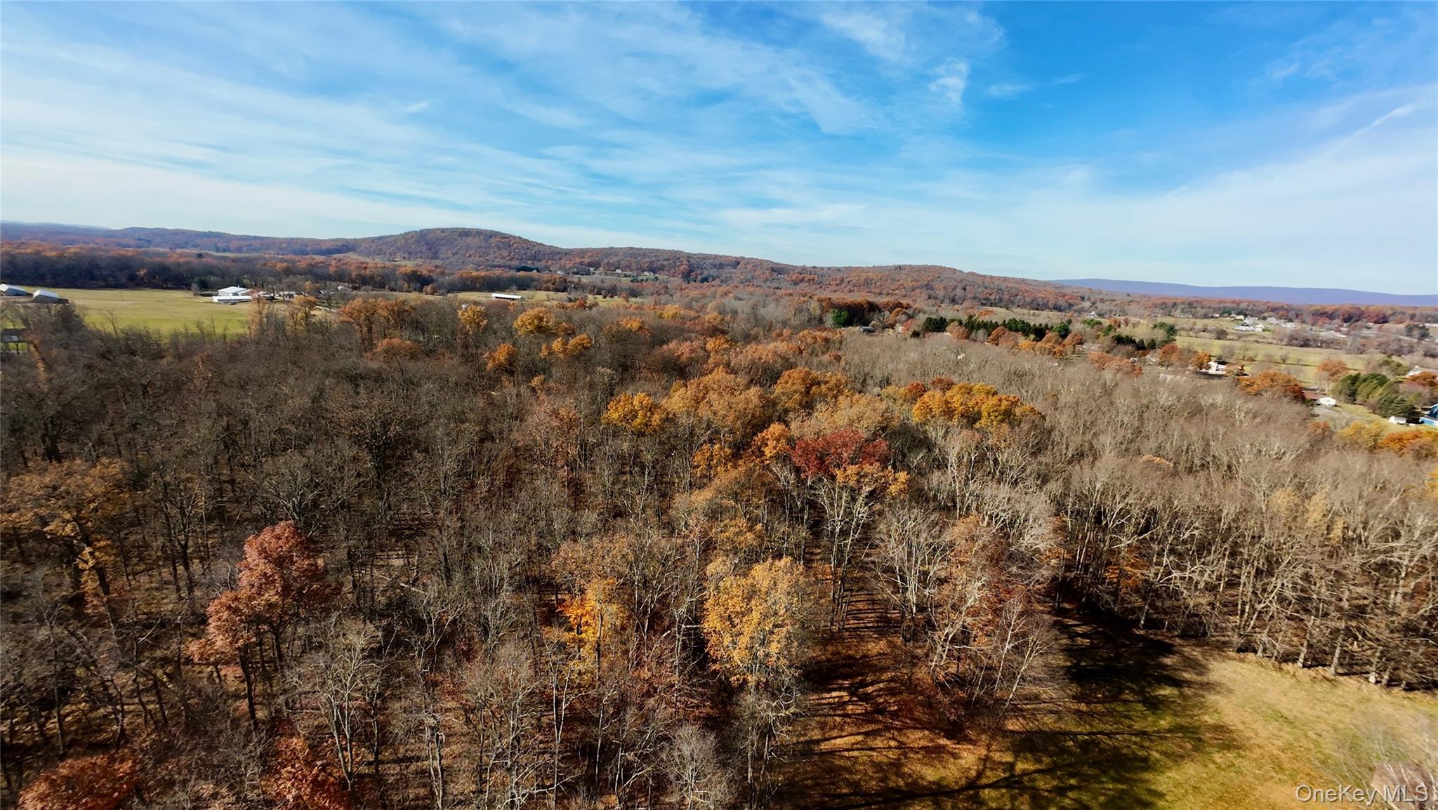 109 White Birch Lane, Montgomery, NY 12549