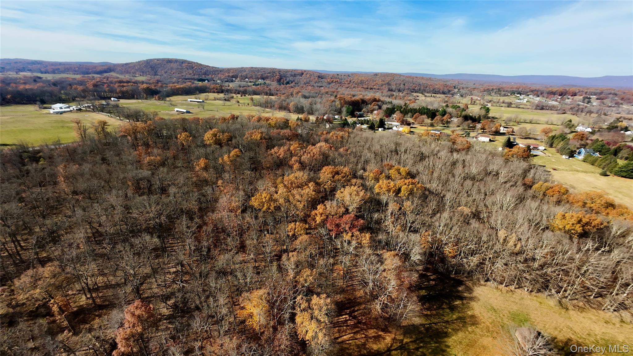 109 White Birch Lane, Montgomery, NY 12549