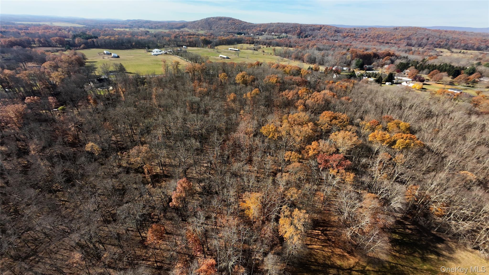 109 White Birch Lane, Montgomery, NY 12549