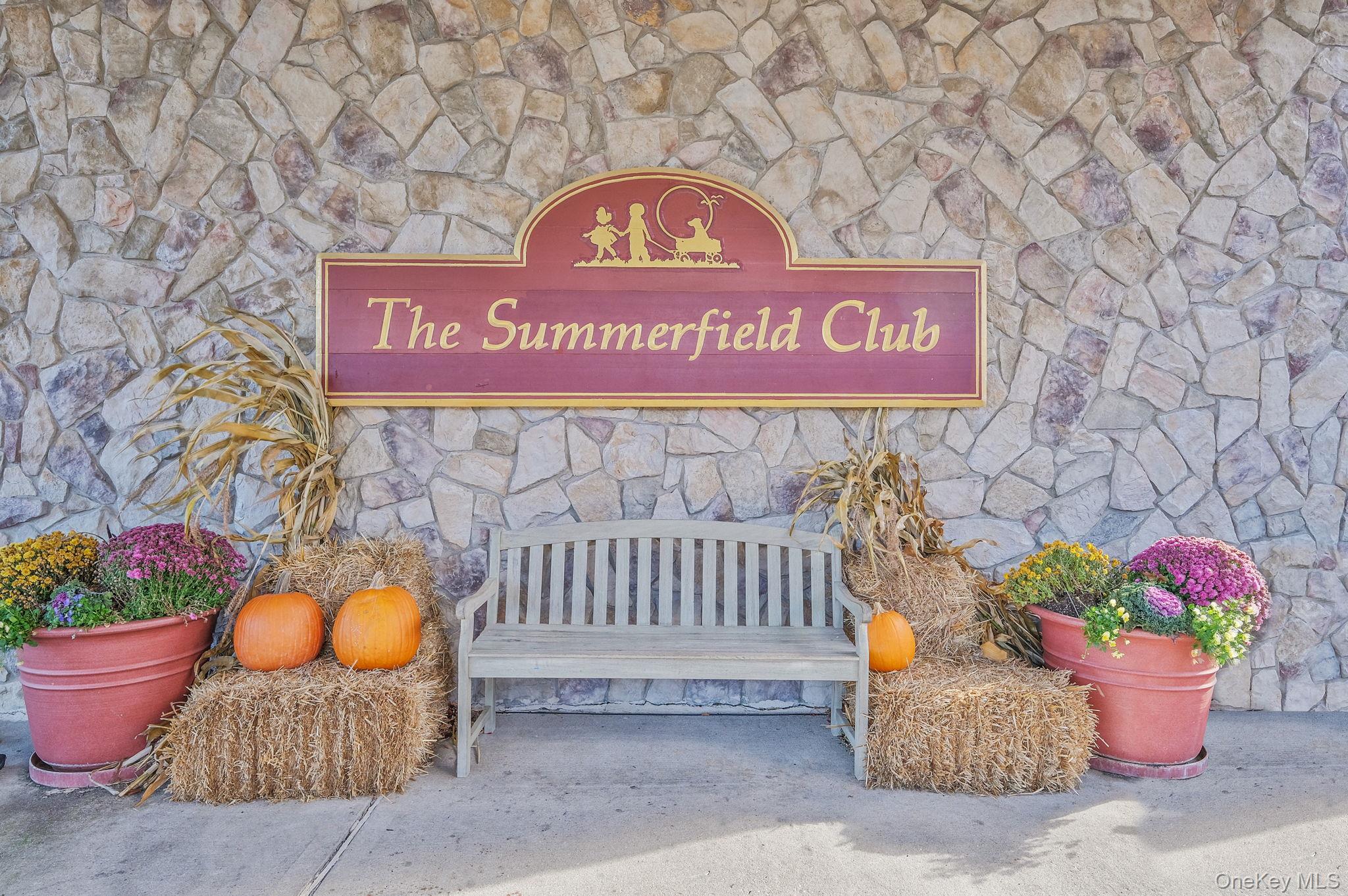 76 Blueberry Ridge Drive, Holtsville, NY 11742