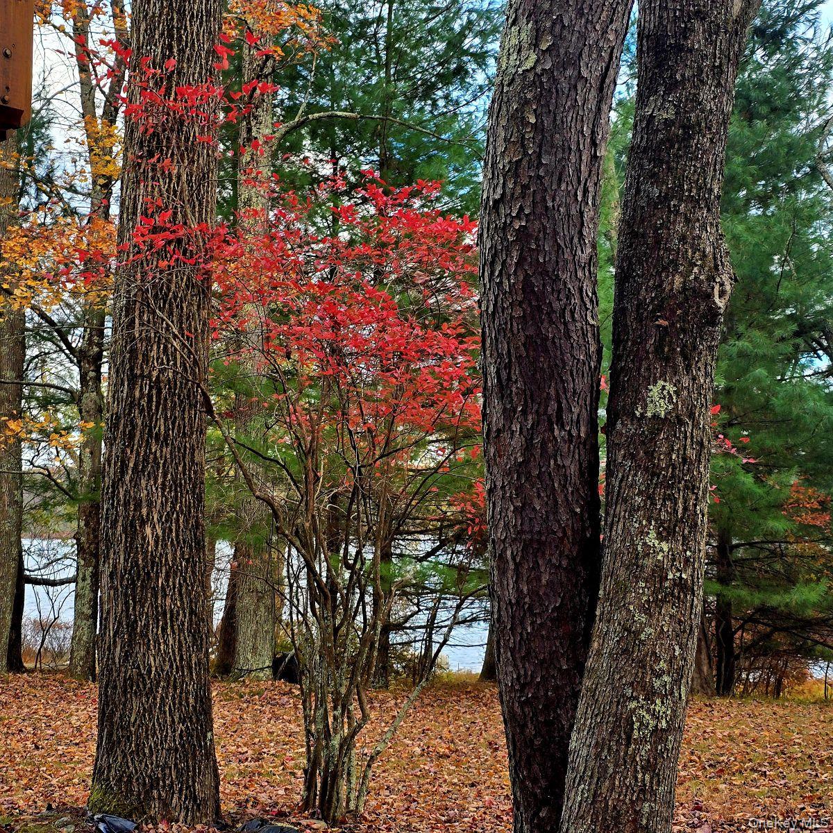 14 Lena Road, Monticello, NY 12777