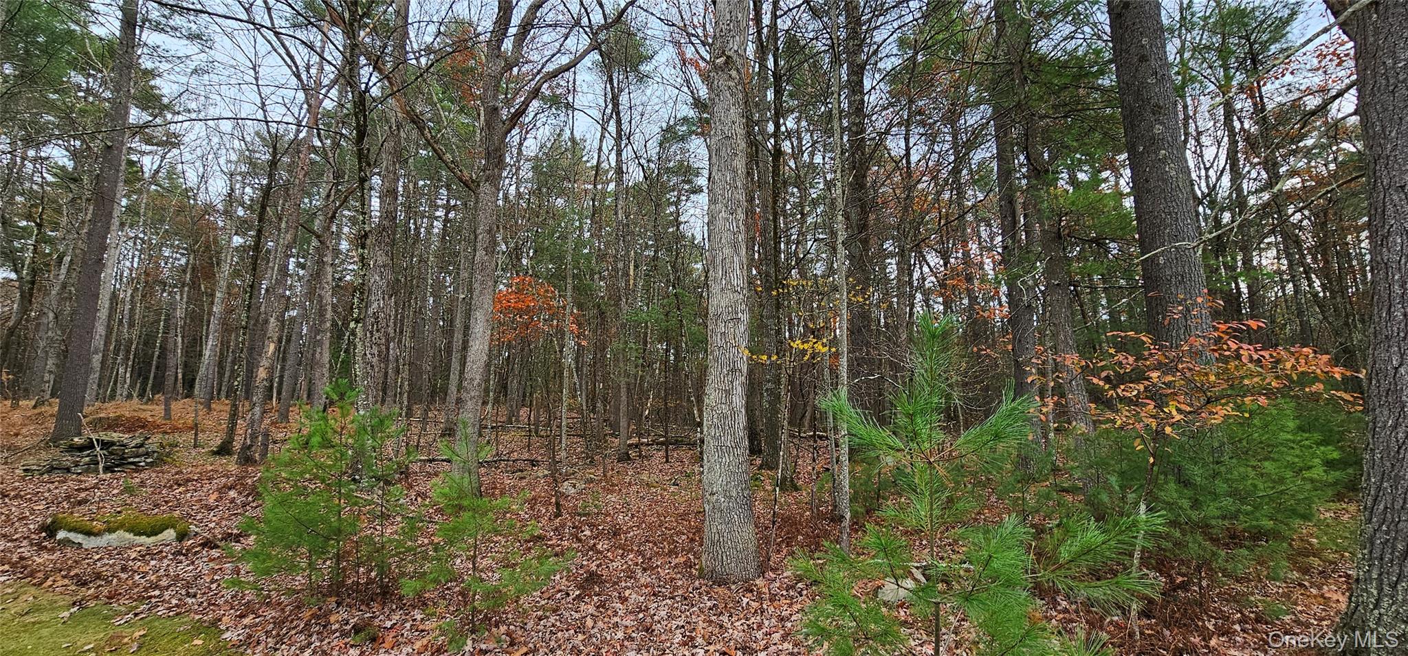 191 Eldred Yulan Road, Yulan, NY 12732