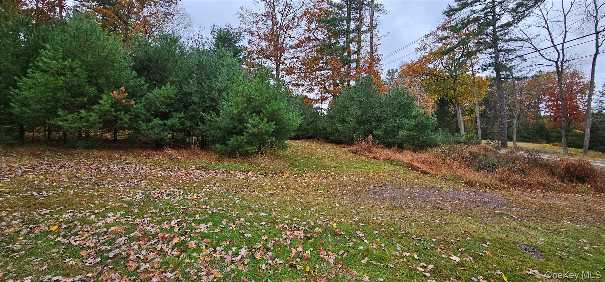 191 Eldred Yulan Road, Yulan, NY 12732