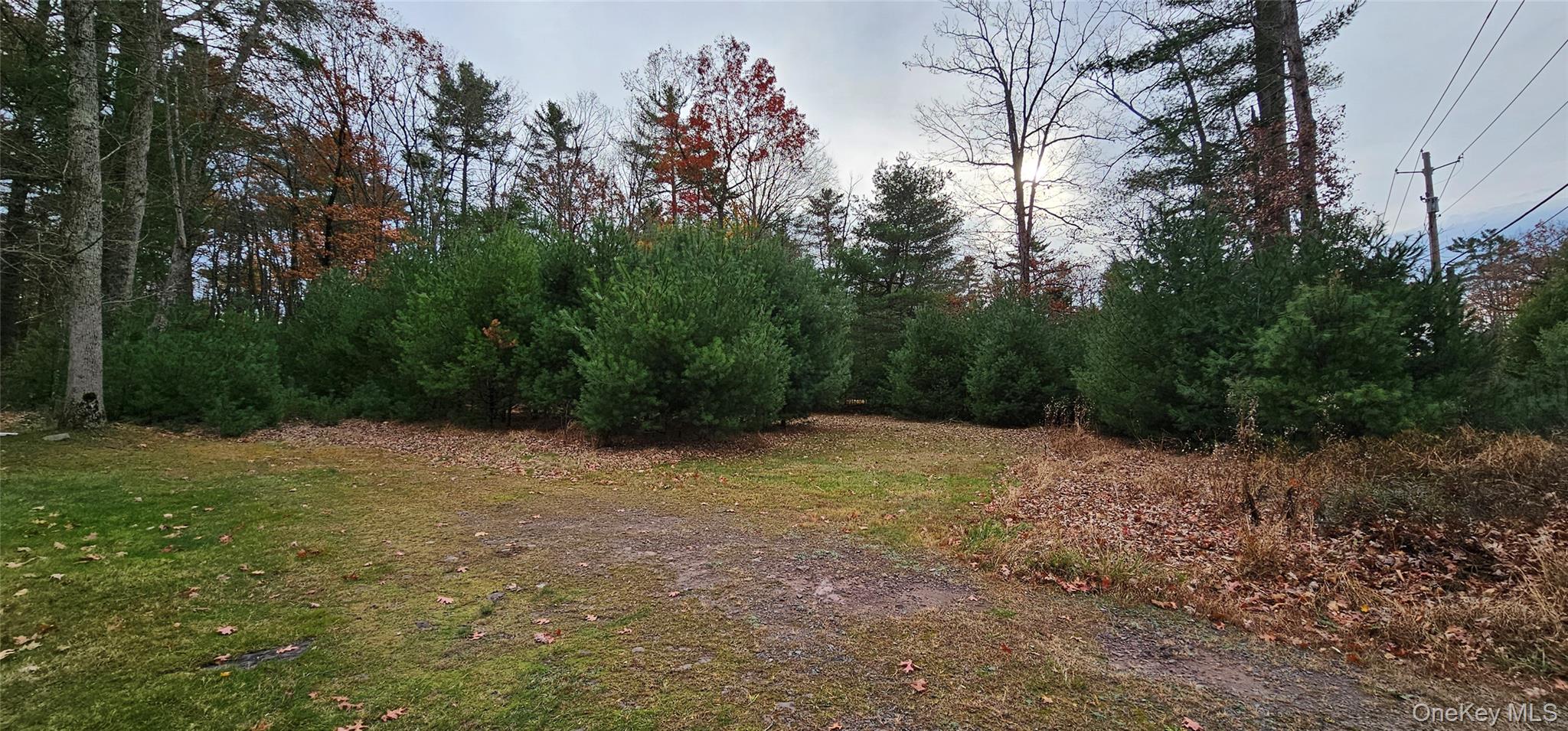 191 Eldred Yulan Road, Yulan, NY 12732