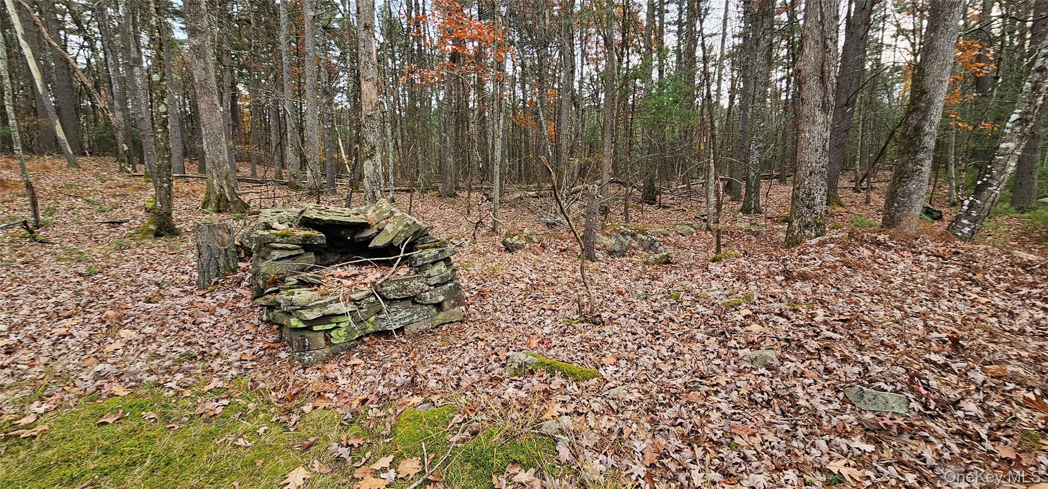 191 Eldred Yulan Road, Yulan, NY 12732