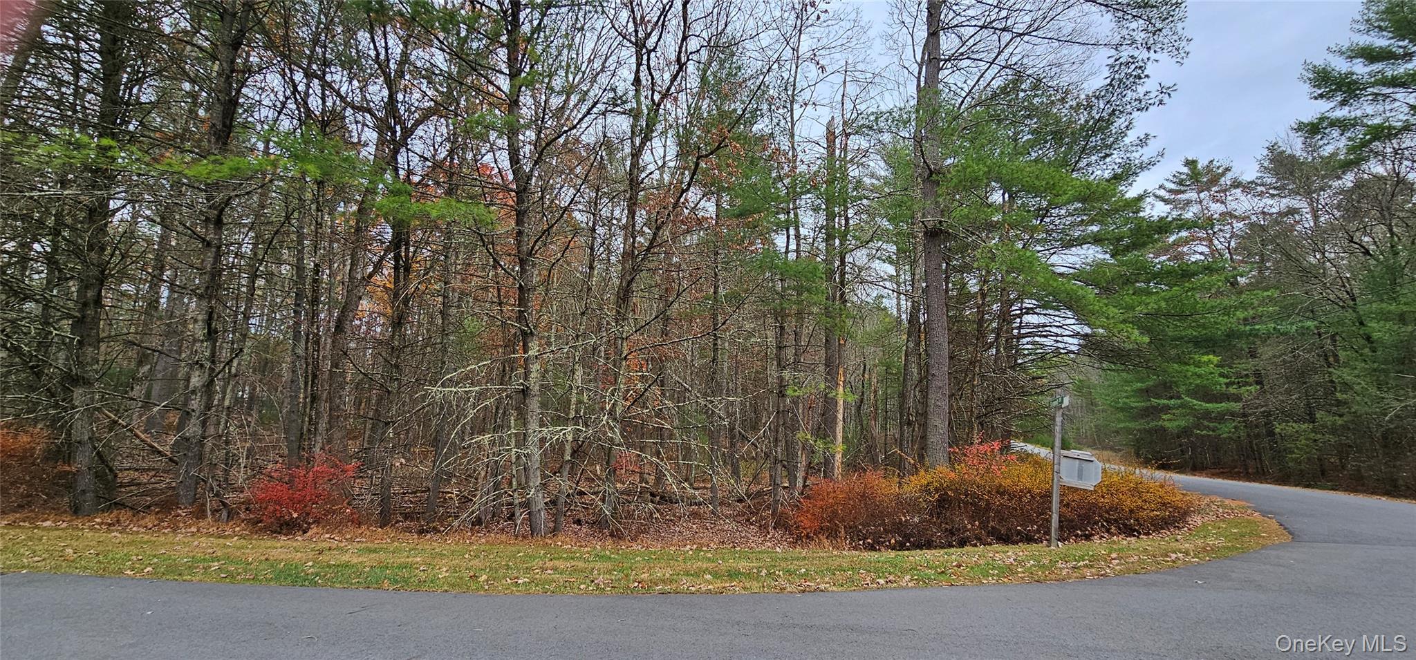 Lot 28 Summit Drive, Yulan, NY 12792