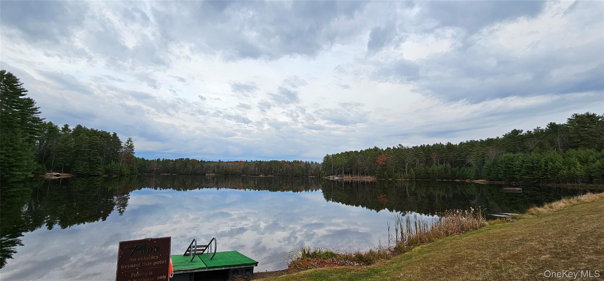 Lot 28 Summit Drive, Yulan, NY 12792