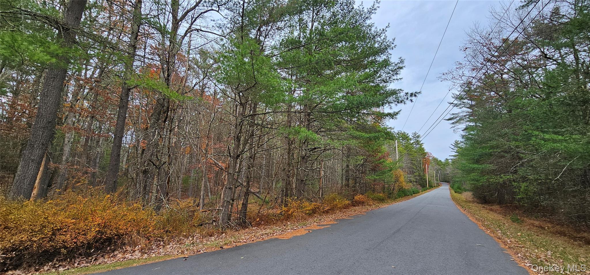 Lot 28 Summit Drive, Yulan, NY 12792