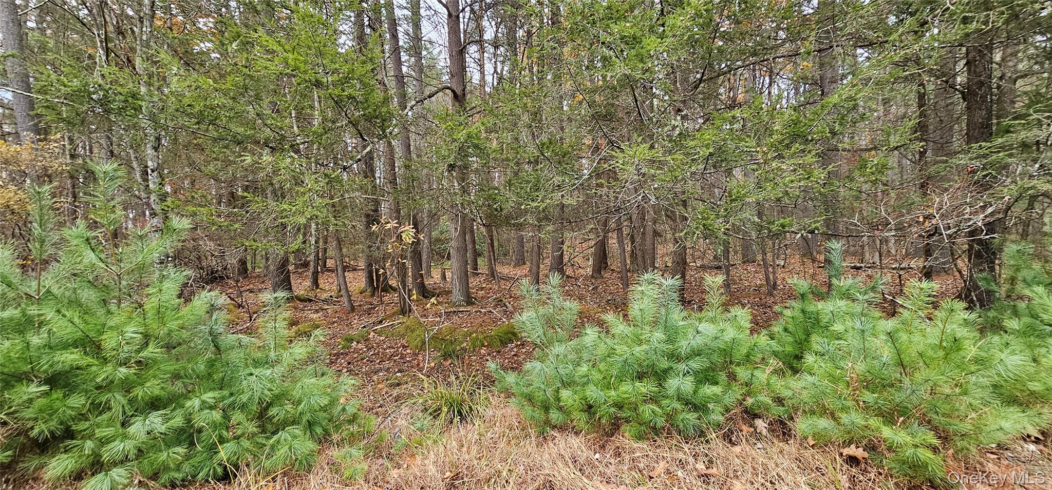 Lot 28 Summit Drive, Yulan, NY 12792