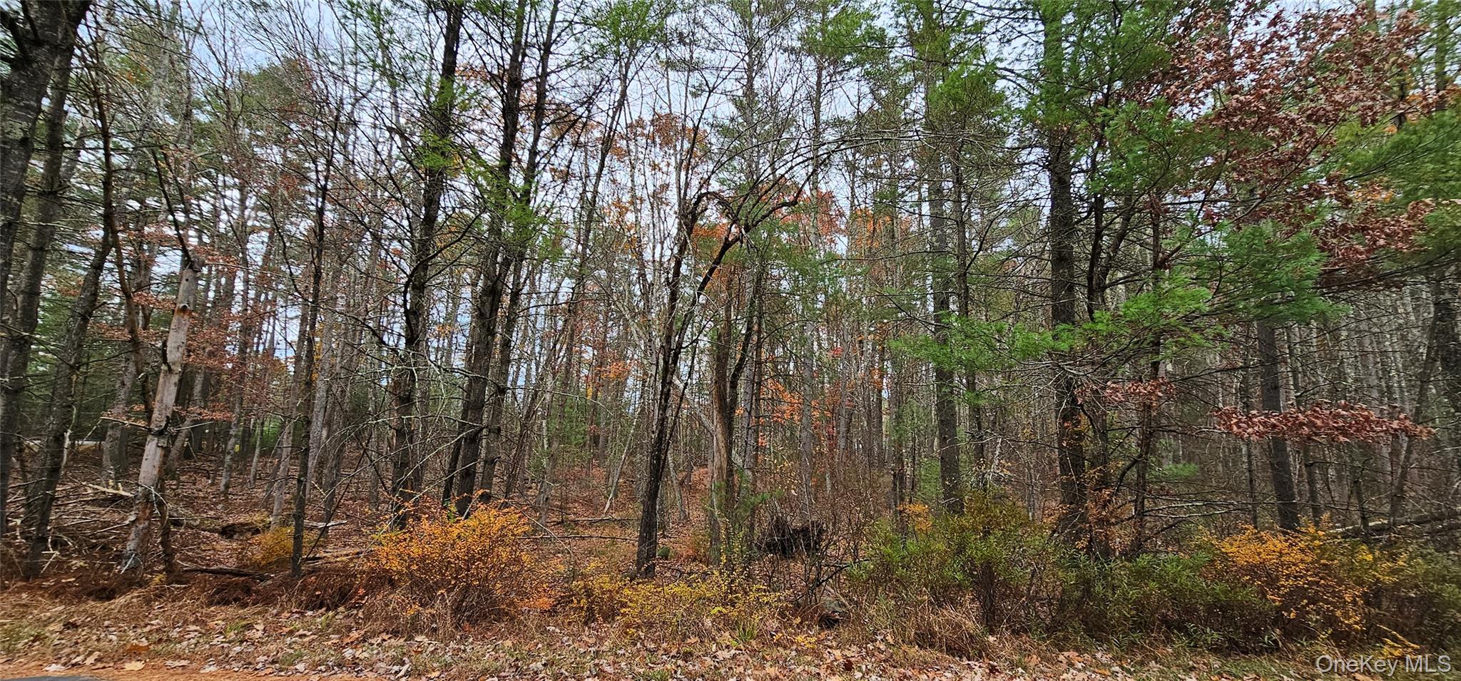 Lot 28 Summit Drive, Yulan, NY 12792