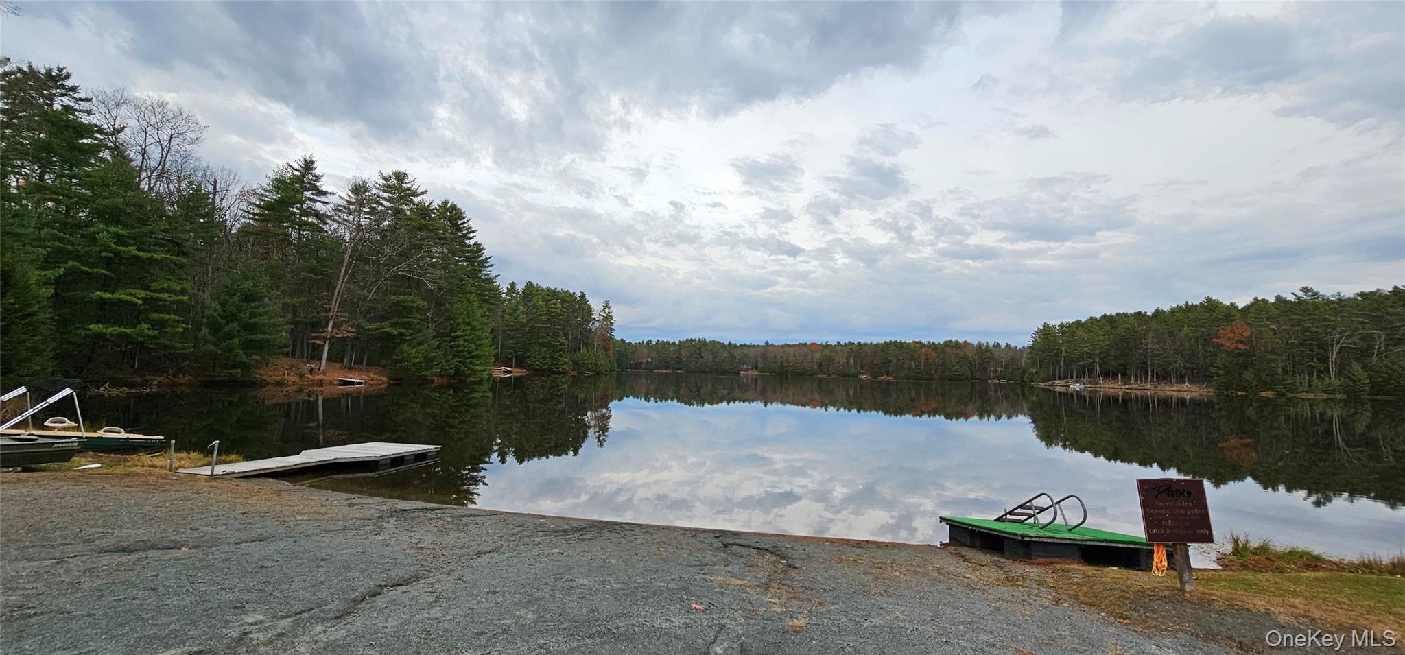 Lot 28 Summit Drive, Yulan, NY 12792