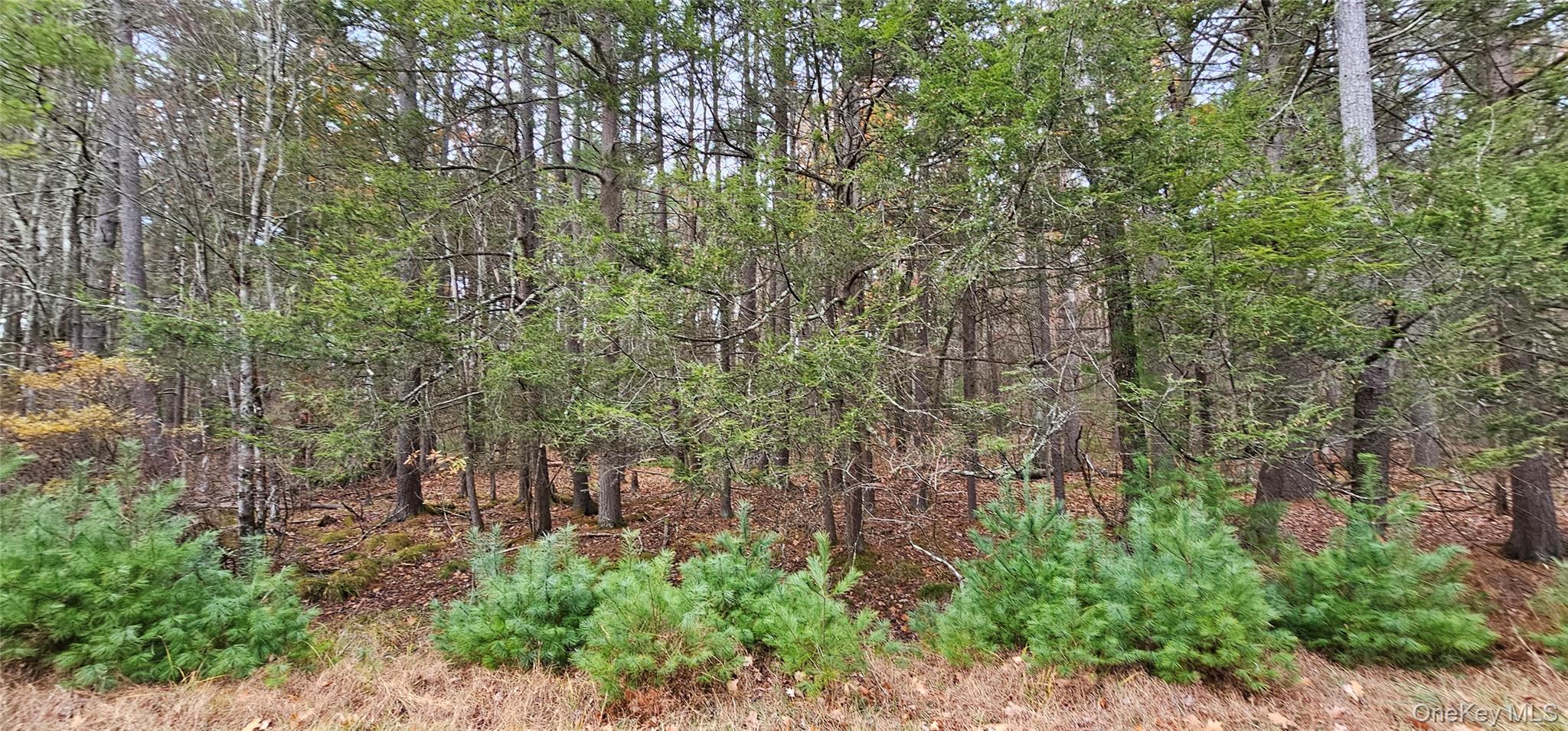 Lot 28 Summit Drive, Yulan, NY 12792