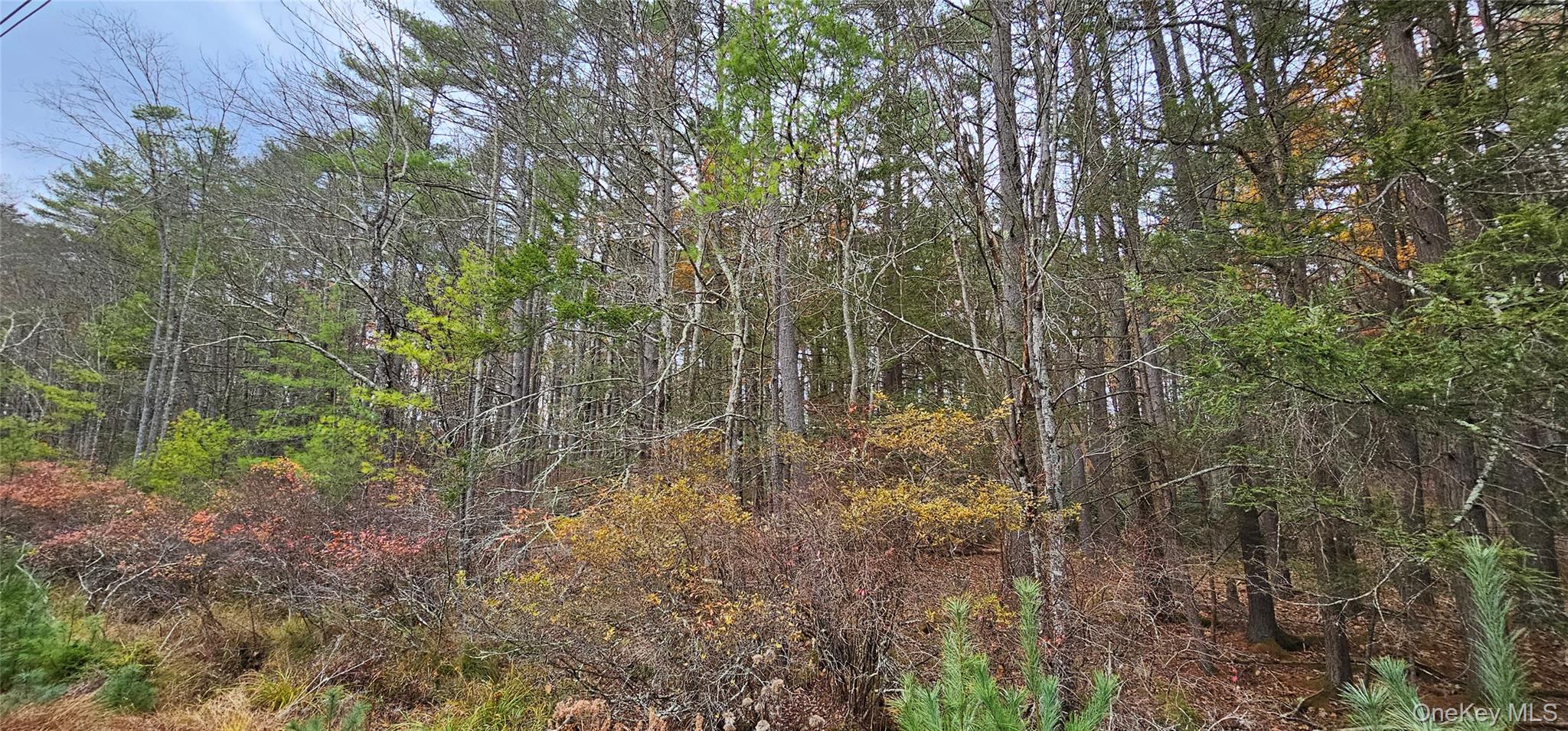 Lot 28 Summit Drive, Yulan, NY 12792