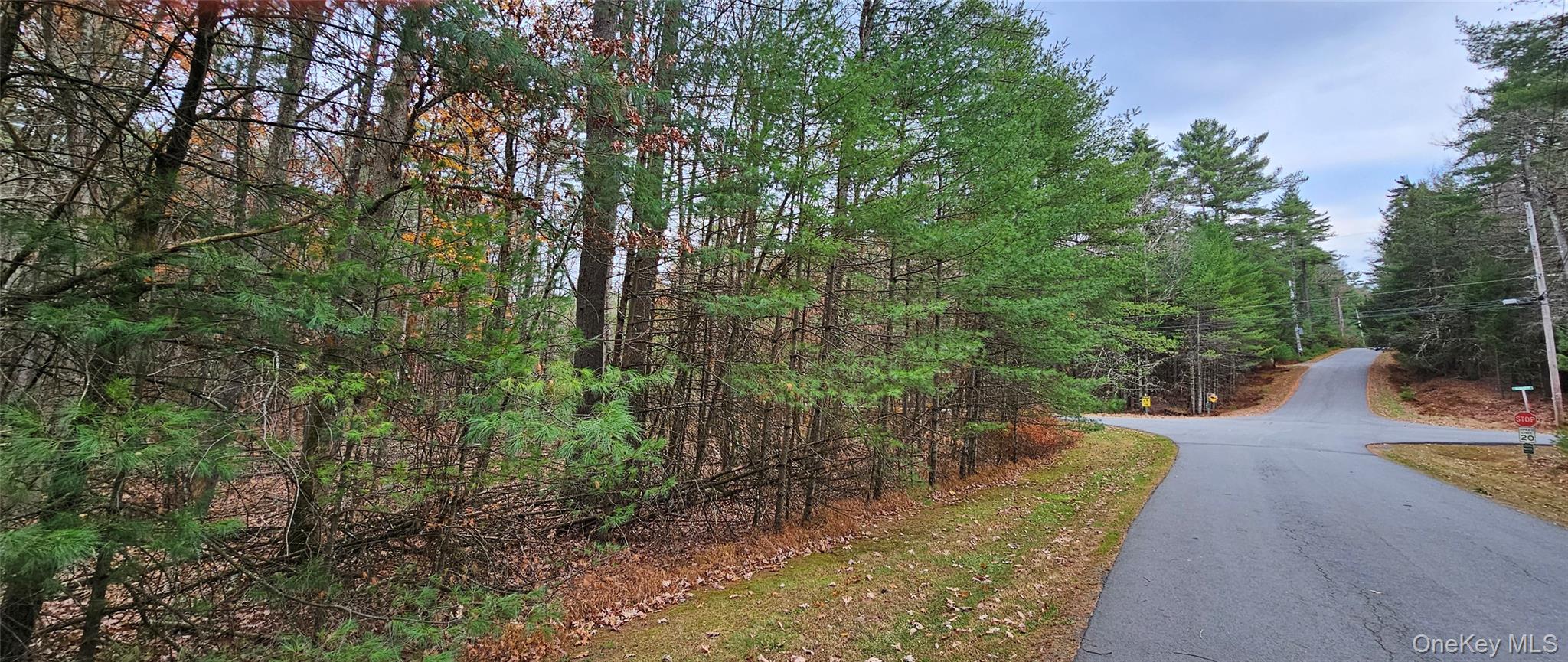 Lot 28 Summit Drive, Yulan, NY 12792