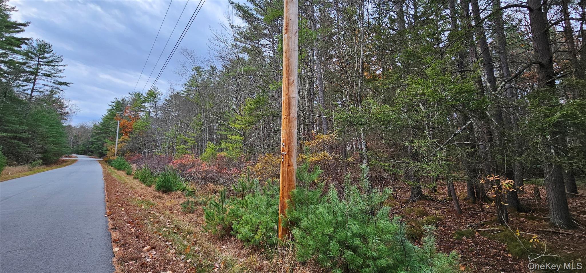 Lot 28 Summit Drive, Yulan, NY 12792