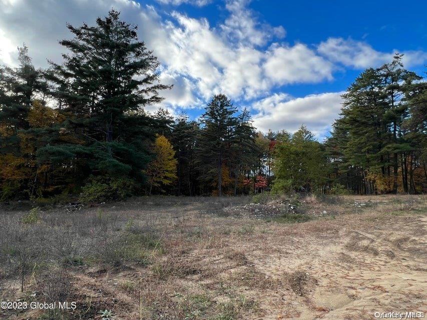 15 Pasco Avenue, Call Listing Agent, NY 12804