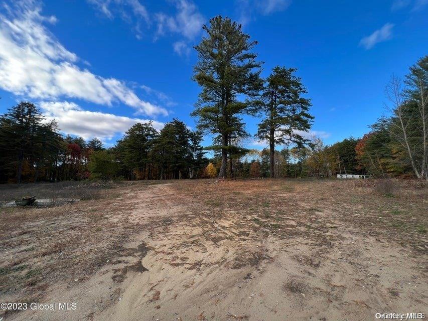 15 Pasco Avenue, Call Listing Agent, NY 12804