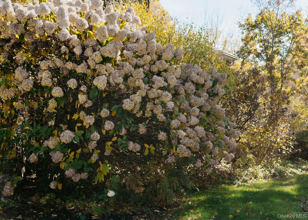 3927 Main Street, Stone Ridge, NY 12484