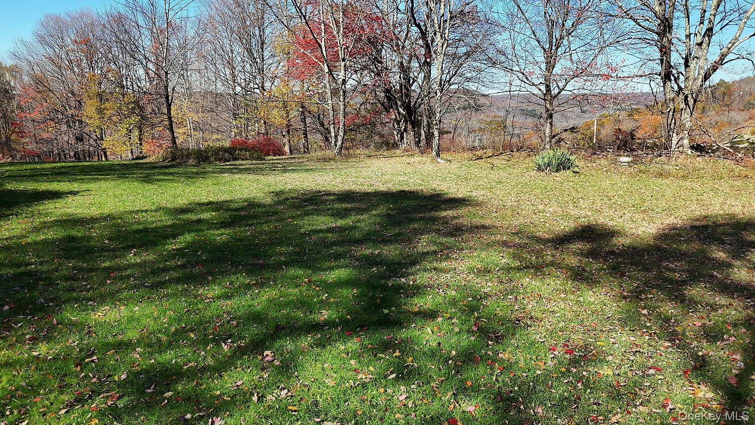 Blackberry Lake Road, Jeffersonville, NY 12748