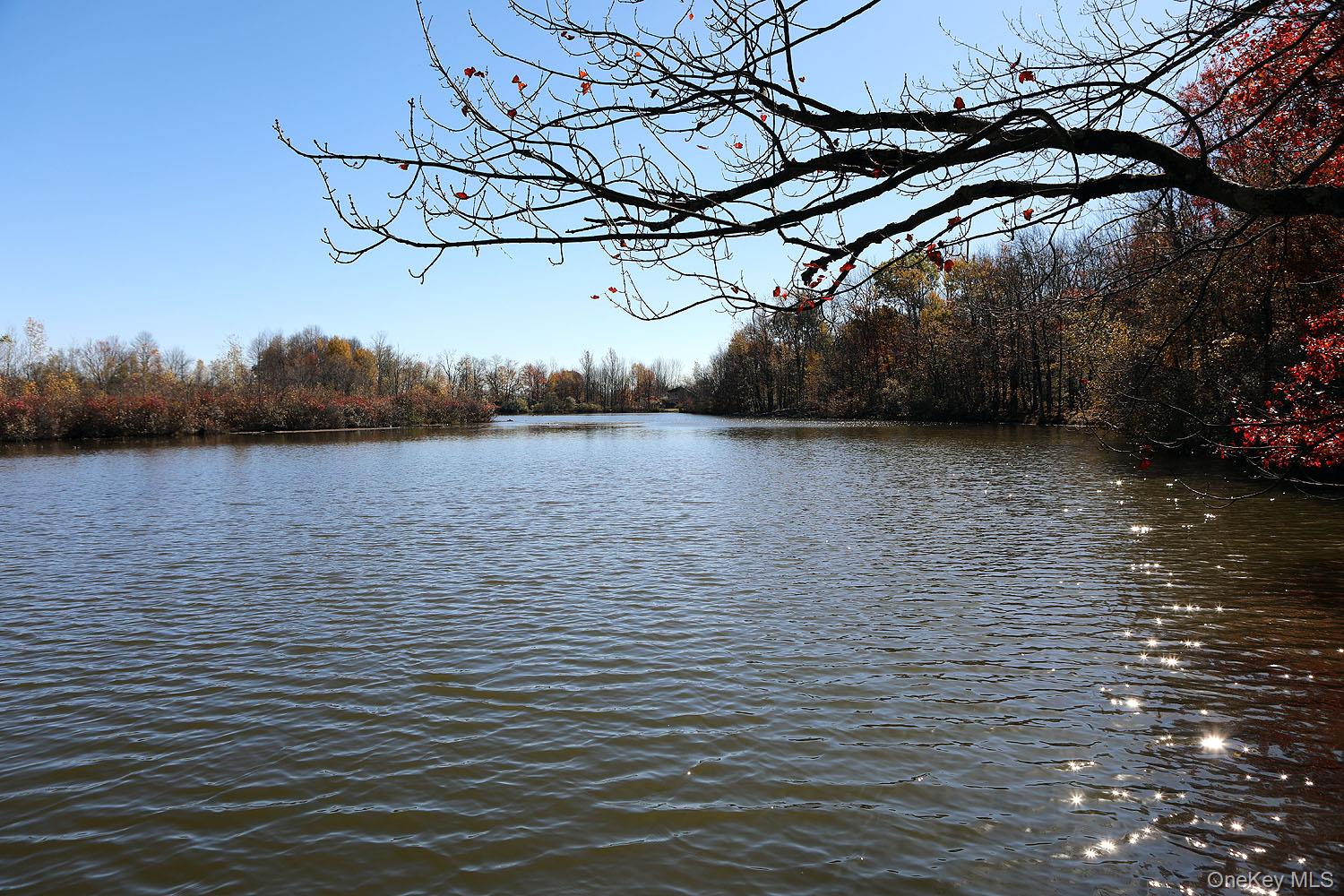 Blackberry Lake Road, Jeffersonville, NY 12748