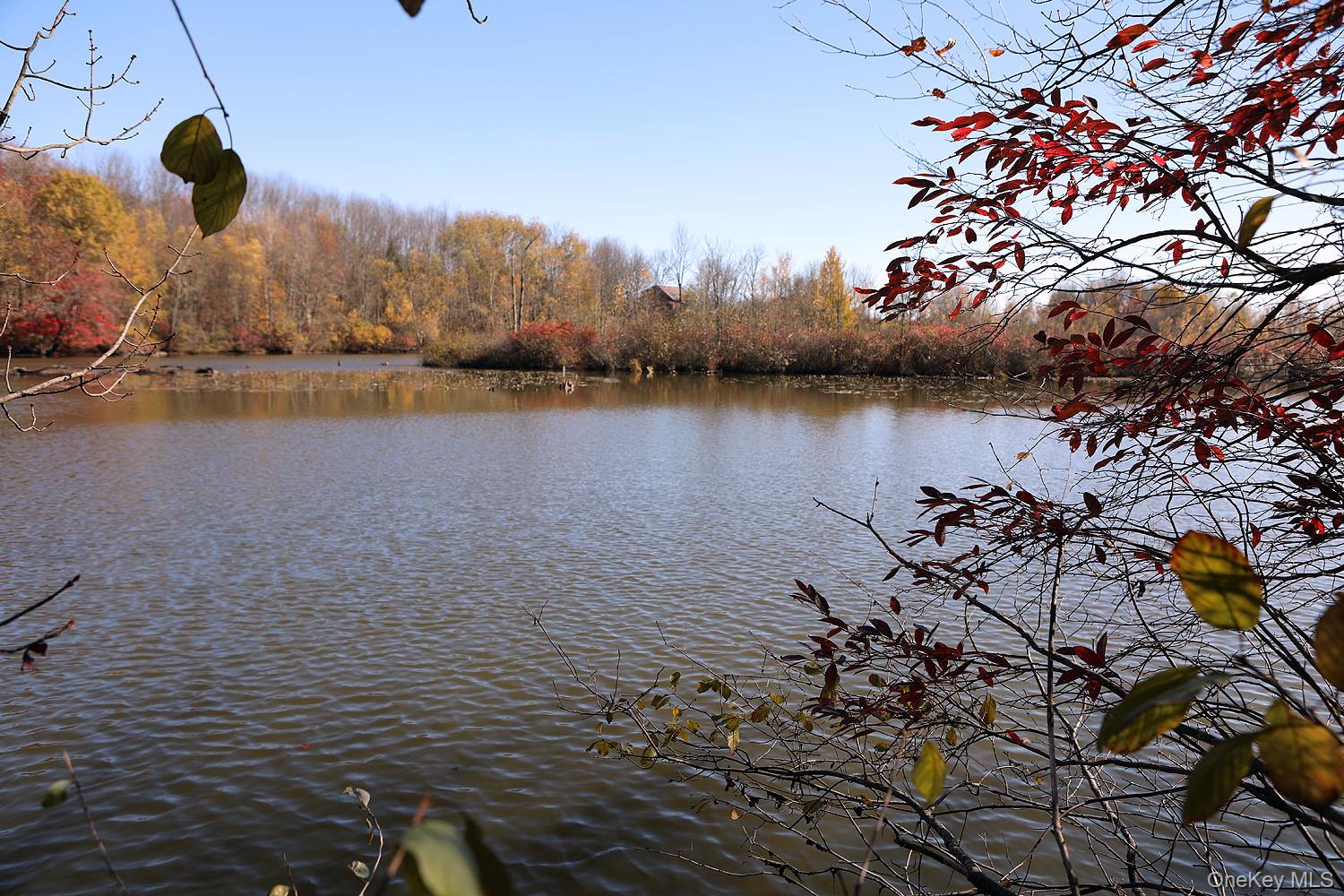 Blackberry Lake Road, Jeffersonville, NY 12748