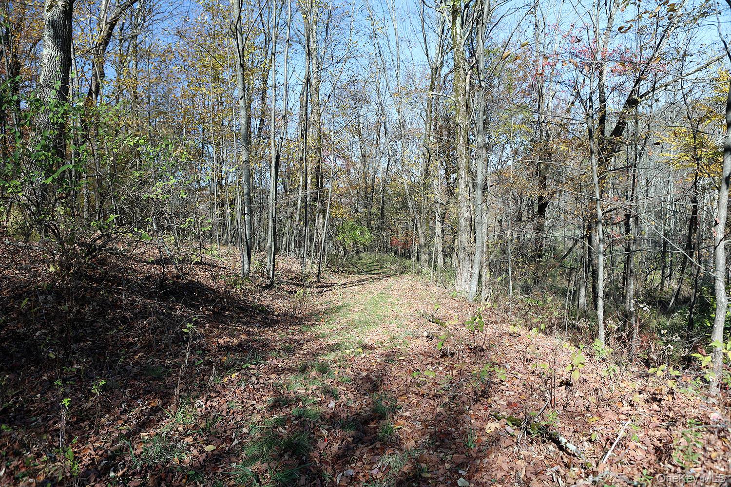 Blackberry Lake Road, Jeffersonville, NY 12748