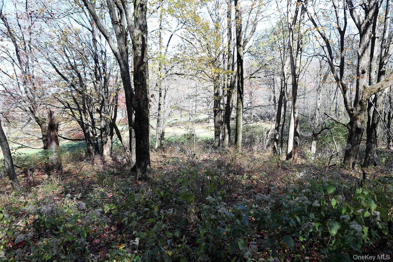 Blackberry Lake Road, Jeffersonville, NY 12748