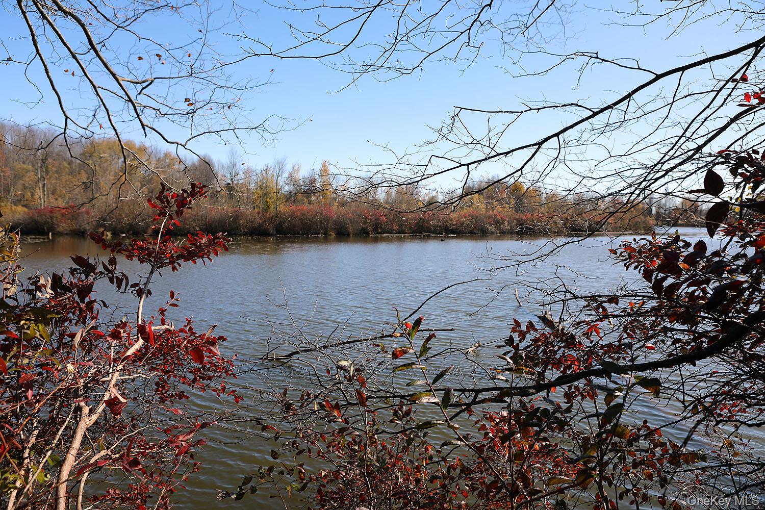 Blackberry Lake Road, Jeffersonville, NY 12748