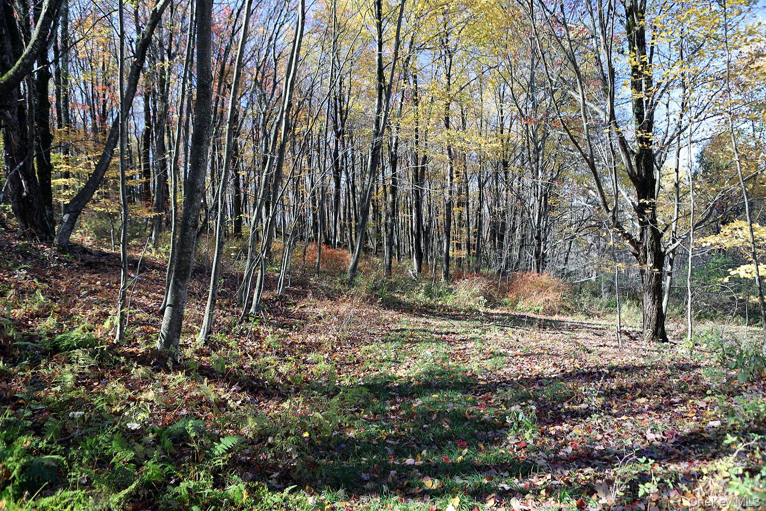 Blackberry Lake Road, Jeffersonville, NY 12748