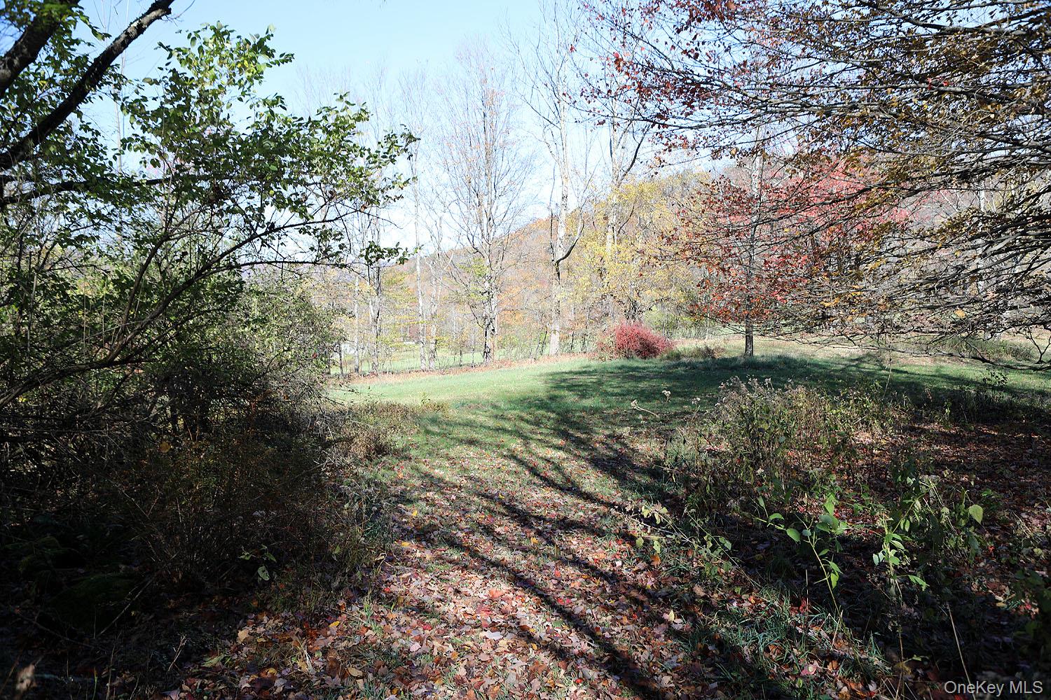 Blackberry Lake Road, Jeffersonville, NY 12748