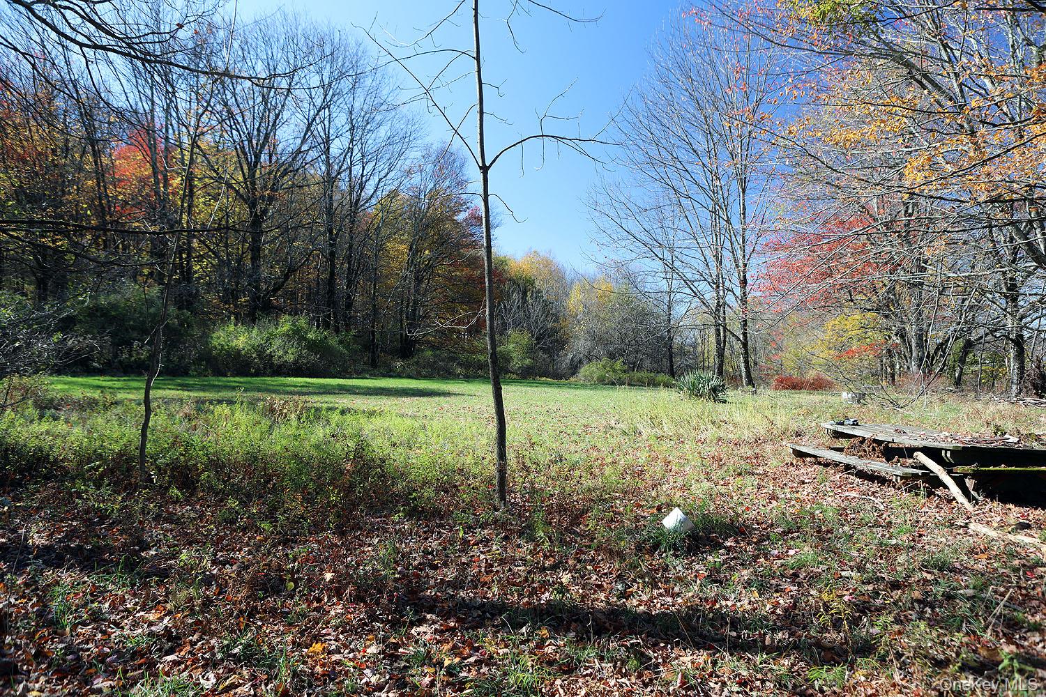 Blackberry Lake Road, Jeffersonville, NY 12748