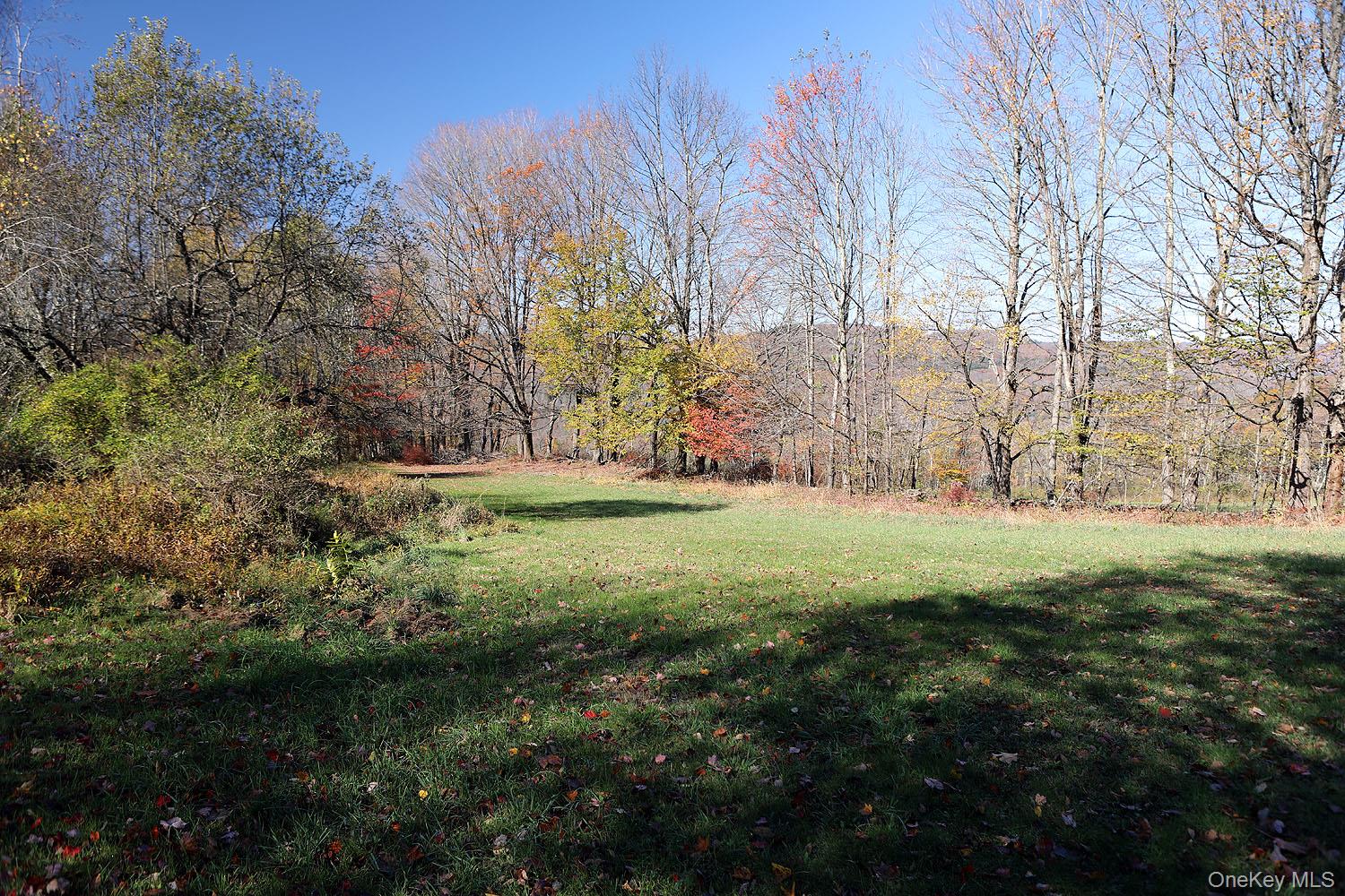 Blackberry Lake Road, Jeffersonville, NY 12748