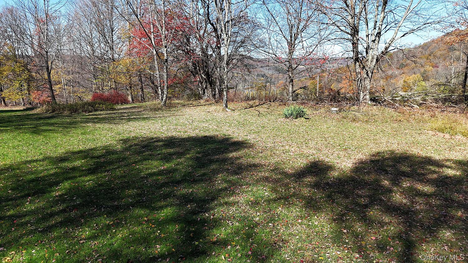 Blackberry Lake Road, Jeffersonville, NY 12748