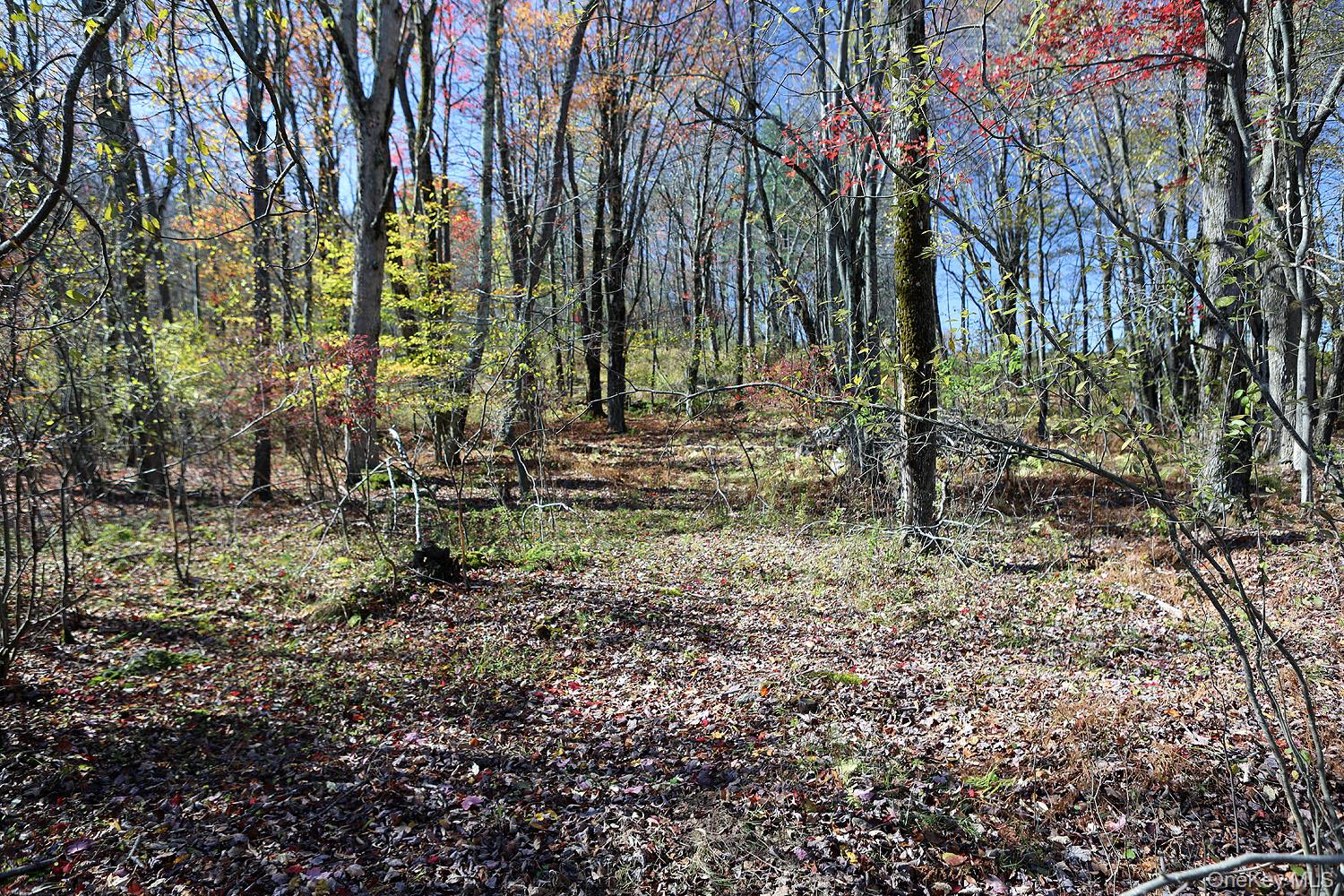 Blackberry Lake Road, Jeffersonville, NY 12748