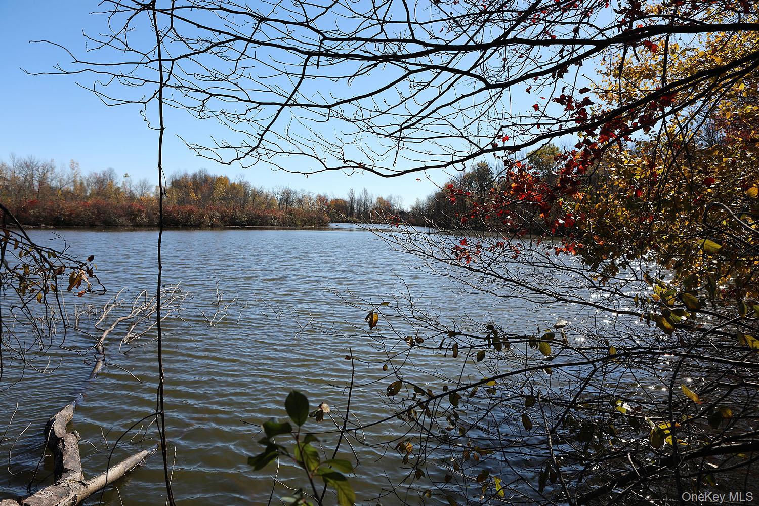 Blackberry Lake Road, Jeffersonville, NY 12748