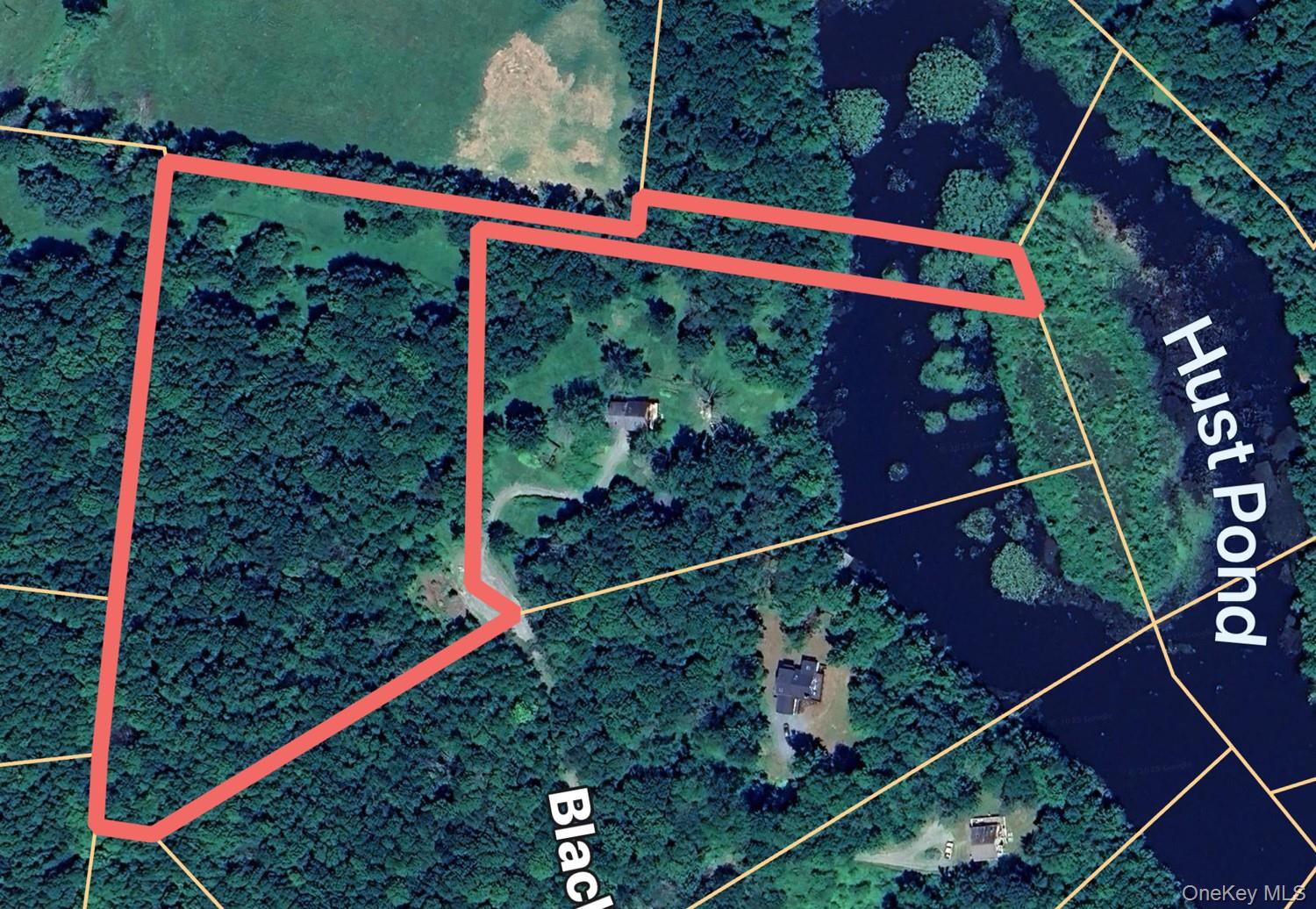 Blackberry Lake Road, Jeffersonville, NY 12748