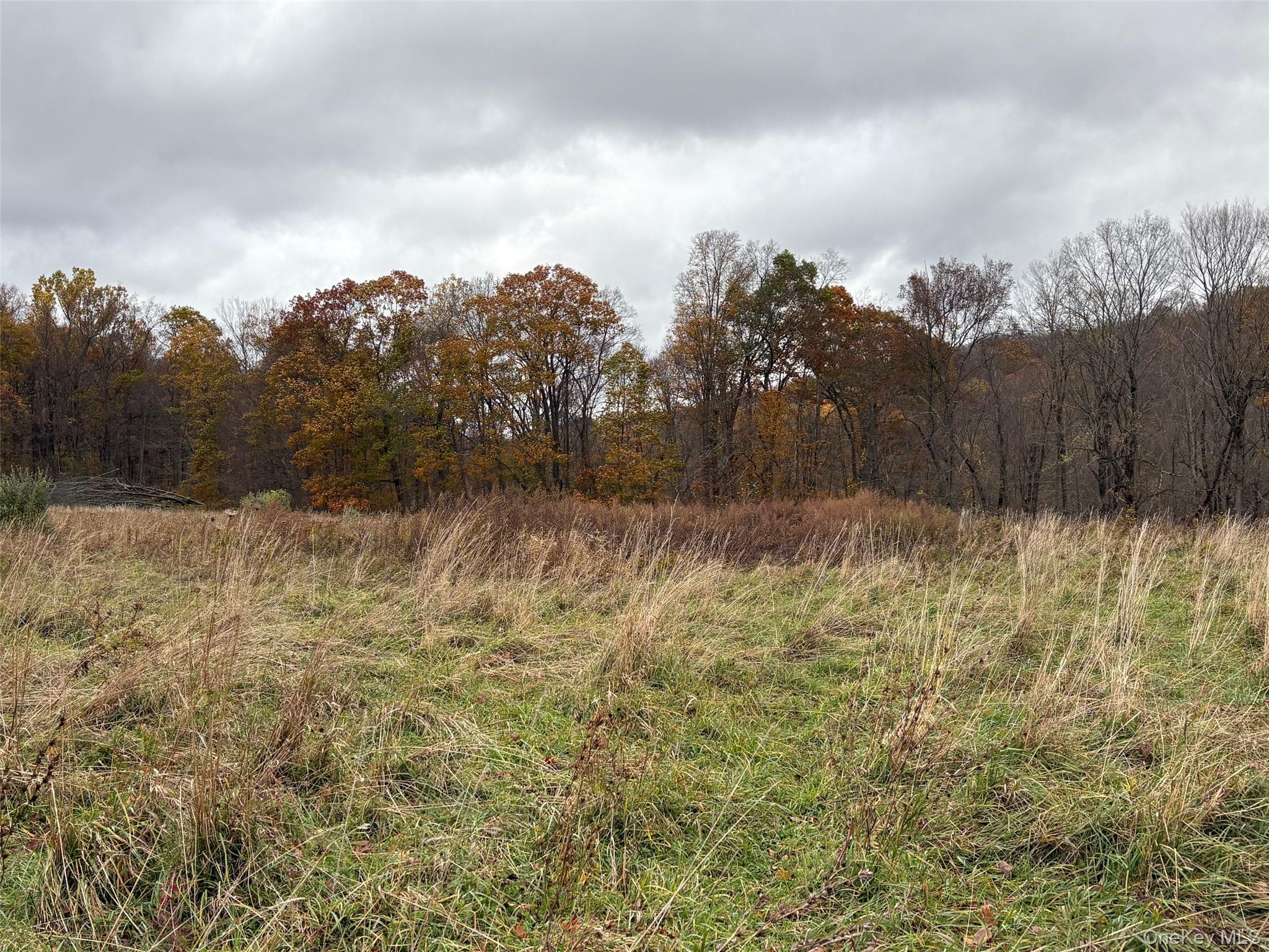 Pleasant Ridge Road, Poughquag, NY 12570