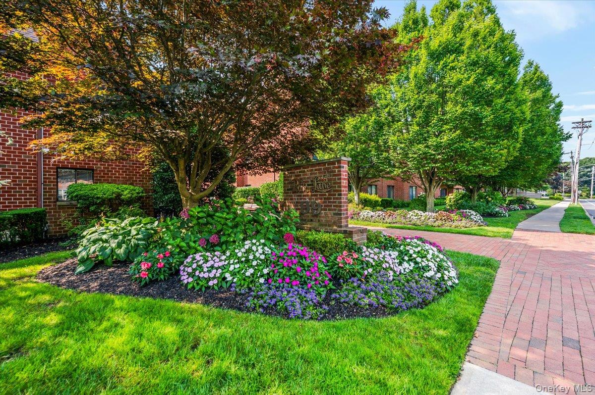 99 S Park Avenue # 311, Rockville Centre, NY 11570