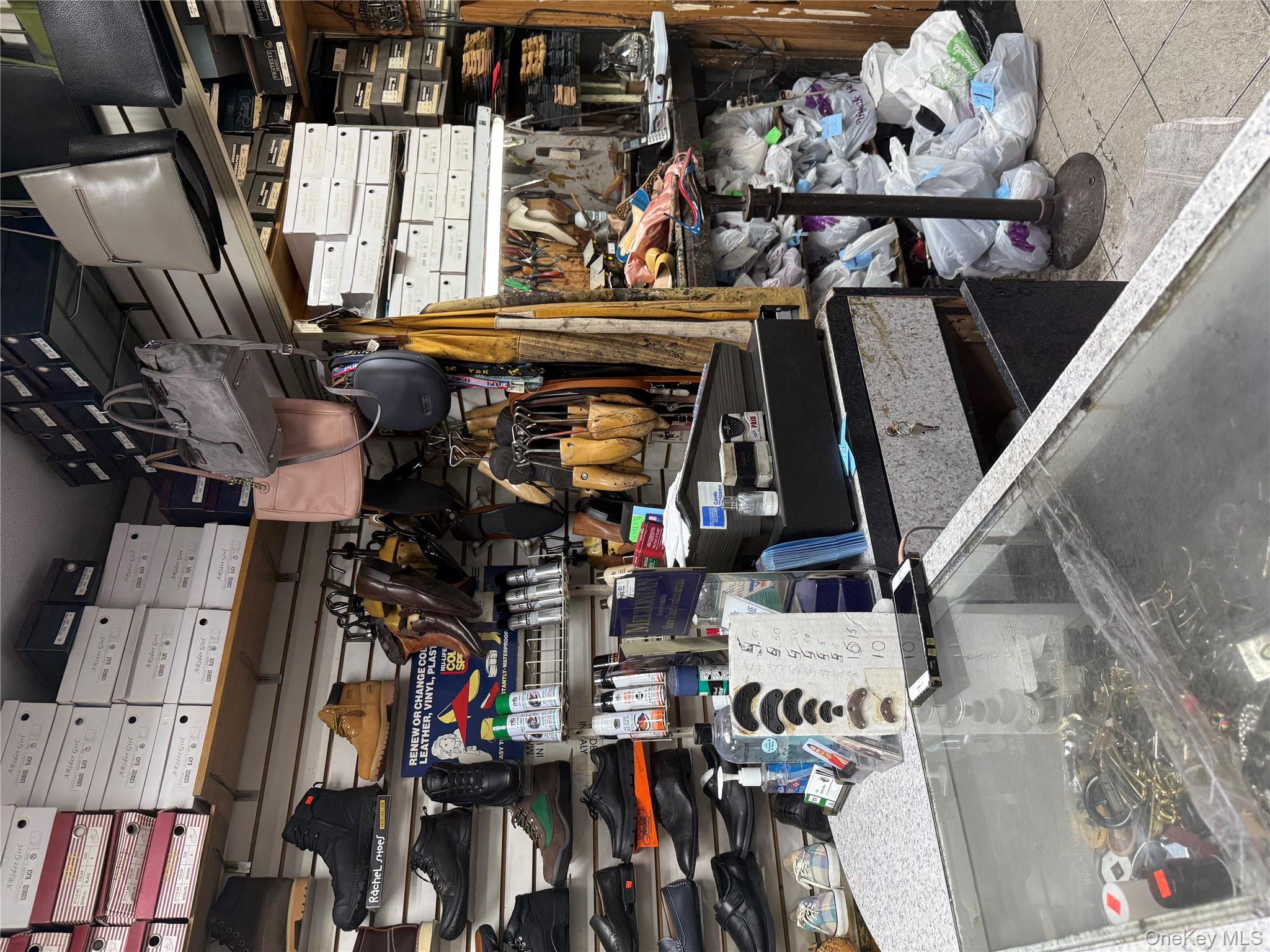 741 Lydig Avenue, Bronx, NY 10462